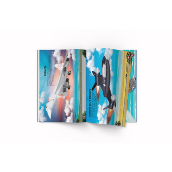 Меганаліпки. Авіація (F00028033) - Pampik - 3