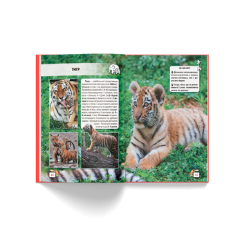 Фотоенциклопедія. Світ навколо нас. Малята тварин (F00020867) - Pampik - 10