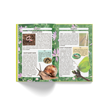 Фотоенциклопедія. Світ навколо нас. Хто скільки живе? (F00027779) - Pampik - 10