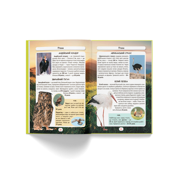 Фотоенциклопедія. Світ навколо нас. Хто скільки живе? (F00027779) - Pampik - 7