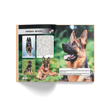 Фотоенциклопедія. Світ навколо нас. Собаки (F00021089) - Pampik - 8