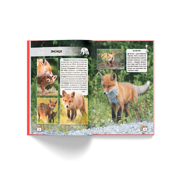 Фотоенциклопедія. Світ навколо нас. Малята тварин (F00020867) - Pampik - 8