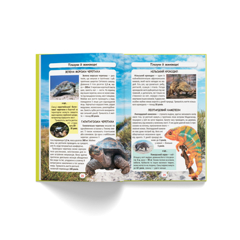 Фотоенциклопедія. Світ навколо нас. Хто скільки живе? (F00027779) - Pampik - 8