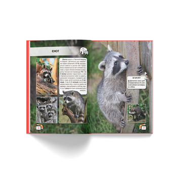 Фотоенциклопедія. Світ навколо нас. Малята тварин (F00020867) - Pampik - 7