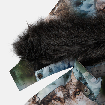 Куртка зимняя Huppa Ante, р.116, разноцветный с принтом (17960230-42299) - Pampik - 6