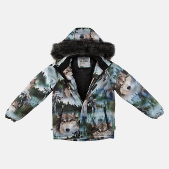 Куртка зимняя Huppa Ante, р.116, разноцветный с принтом (17960230-42299) - Pampik - 4