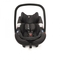 Автокресло Concord Air.Safe Midnight Black, черный (AIC0971) - Pampik - 3