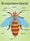 Моя перша енциклопедія. Як утворюється мед? - Конопленко І.І. - Pampik - 6