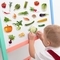 Магнітний набір Magdum Magnetic set Vegetables (ML4031-12 EN) - Pampik - 7
