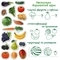 Магнітний набір Magdum Magnetic set Fruits and vegetables (ML4031-15 EN) - Pampik - 3