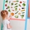 Магнітний набір Magdum Magnetic set Vegetables (ML4031-12 EN) - Pampik - 6