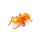 Наноробот Hexbug Micro Ant, помаранчевий (409-6389_orange) - Pampik