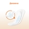 Щоденні прокладки Kotex Active екстратонкі, 48 шт. - Pampik - 7