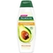 Шампунь Palmolive Натурэль Питание и Сила Масло Авокадо, 380 мл - Pampik