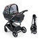 Універсальна коляска 2 в 1 Cam Techno Milano, рама срібло, чорний з квітковим принтом (805T/V94/978/551K) - Pampik