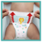 Набір підгузків-трусиків Pampers Pants 3 (6-11 кг), 256 шт. (2 уп. по 128 шт.) - Pampik - 10