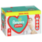 Набір підгузків-трусиків Pampers Pants 3 (6-11 кг), 256 шт. (2 уп. по 128 шт.) - Pampik - 3