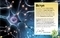 Розширення світогляду: Карколомний мозок. Імпульсивні нейрони, мінливі синапси, хвостаті аксони - Доктор Ліам Дрю - Pampik - 2