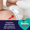 Подарунок. Підгузки-трусики нічні Pampers Night Pants 6 (15 кг), 19 шт. - Pampik - 6