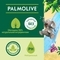 Гель для душу та купання Palmolive, з кокосом, для тіла та волосся, 250 мл - Pampik - 6