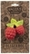 Прорезыватель Oli & Carol Малина Валери, красный с салатовым (L-RASPBERRY-UNIT) - Pampik - 2