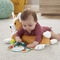 Розвиваючий ігровий набір Fisher-Price Цуценя (HJW10) - Pampik - 9