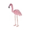 Мягкая игрушка Hansa Розовый фламинго, 80 см (4777) - Pampik - 3