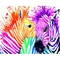 Картина за номерами ZiBi Art Line Веселкові зебри 40х50 см (ZB.64256) - Pampik
