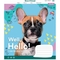 Тетрадь общая 1 Вересня Well, Hello!, А5, в линию, 24 листа (766388) - Pampik - 2