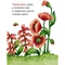 Барвистий світ. Вірші - Гуменюк Марія Володимирівна (966-408-091-8) - Pampik - 4