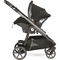Коляска Peg-Perego Veloce Grafic Gold, 3 в 1, золота з чорним (PACK-VEL31SL50RO01) - Pampik - 6