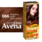Cтійка крем-фарба для волосся Avena Shine Color Трюфельний каштан 066 - Pampik - 2