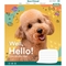 Тетрадь общая 1 Вересня Well, Hello!, A5, в клеточку, 36 листов - Pampik