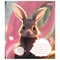 Тетрадь общая 1 Вересня Cute Forest Animal, А5, в косую линию, 12 листов (766298) - Pampik - 5