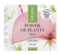 Крем для лица Lirene Power Of Plants Rose Lifting Cream 50 мл - Pampik - 2