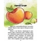 Книжка-білінгва Завтра до школи. Воно живе? / Is it alive? - Лєна Барді (9789669890306) - Pampik - 6