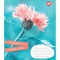 Тетрадь общая 1 Вересня Summer Flowers, A5, в клеточку, 96 листов - Pampik - 2