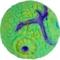 Іграшка-антистрес Kids Team Куля магма-метеорит зелено-фіолетова (CKS-10693_4) - Pampik