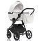 Коляска универсальная 2 в 1 Invictus V-Dream Lux white with black - Pampik - 2