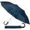 Парасолька Semi Line Blue (L2038-1) - Pampik