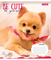 Набор тетрадей 1 Вересня Be cute А5 в клетку 12 листов 25 шт. (766913) - Pampik - 4