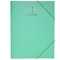 Папка на резинках Buromax Favourite Pastel А4, мятный (BM.3954-38) - Pampik