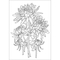 Розмальовка антистрес Santi Флористика 12 сторінок (743058) - Pampik - 2