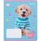 Набор тетрадей Kite Studio Pets А5 в линию, 18 листов, 20 шт. (SP24-237) - Pampik - 6