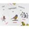 Картки міні Зірка Птахи 11х11 см (286288) - Pampik - 3