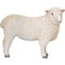 Игровая фигурка Mojo овца Ромны (381064) - Pampik - 3