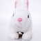 Інтерактивна іграшка Pugs at Play Білий кролик Hopper (ST-PAP10) - Pampik - 4