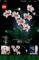 Конструктор LEGO Botanicals Орхідея, 608 деталей (10311) - Pampik - 9