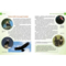 Енциклопедія для допитливих Талант Хижаки - Гапченко О. В. (9789669355874) - Pampik - 5