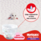 Набір підгузків-трусиків для дівчаток Huggies Little Movers Pants 6 (15-25 кг), 88 шт. (2 уп. по 44 шт.) - Pampik - 5